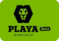 Playabets logo